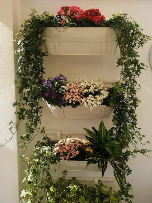 Casa Del Sole Affacciato Sul Mare Apartment แชร์โว ภายนอก รูปภาพ